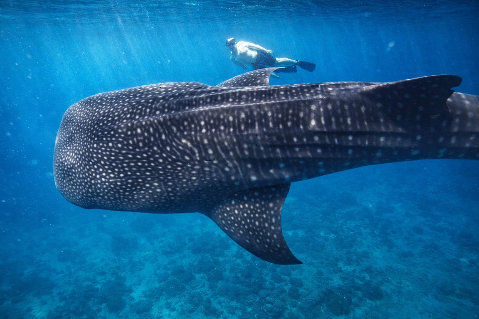 Below the Surface